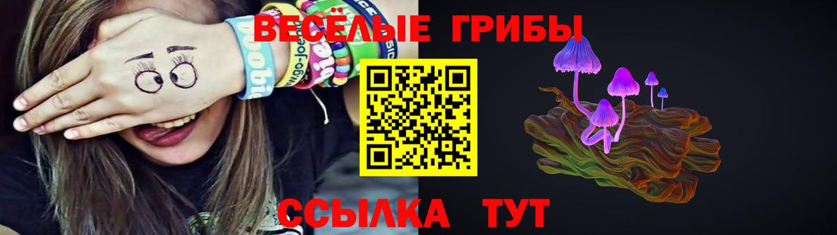 Псилоцибиновые грибы мухоморы  Вход с VPN  Сыктывкар 
